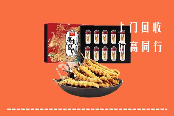 宁化县高价回收虫草